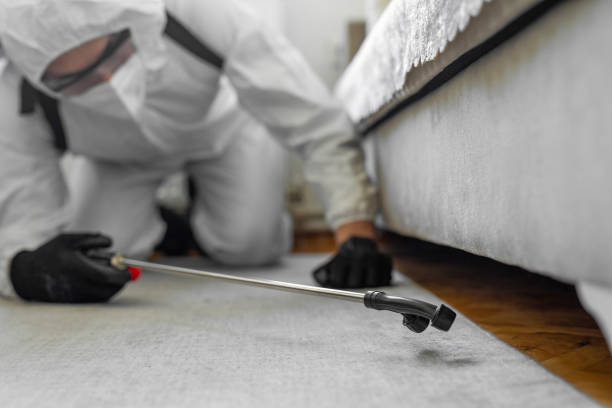 Professional Termite Control technician working in Livingston, MT