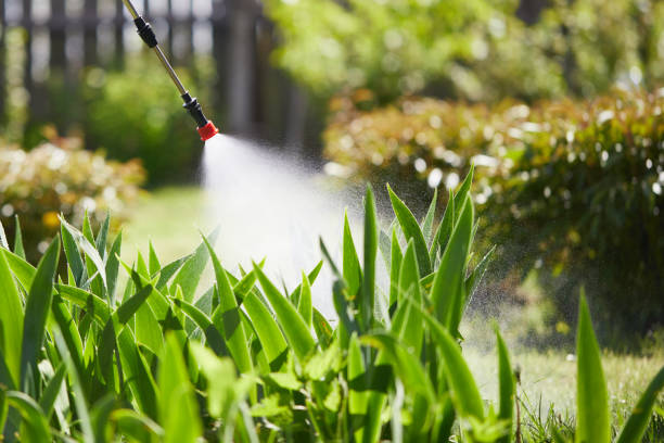 24/7 Emergency Termite Control experts in Livingston, MT