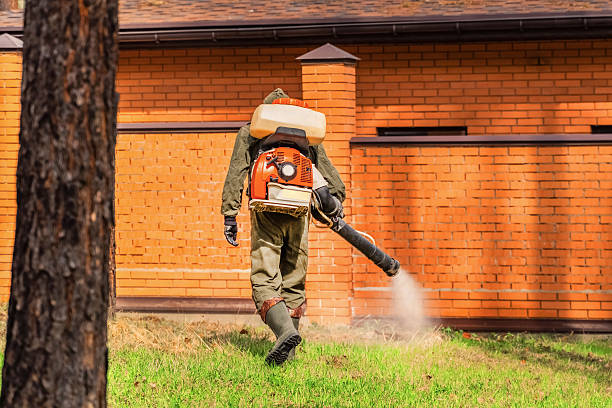 Top rated local Termite Control specialists in Livingston, MT